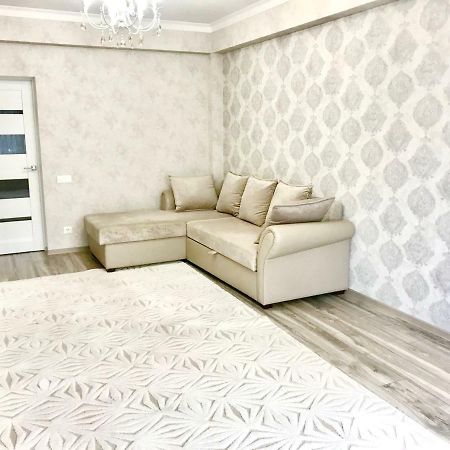 Center Apartment On Albisoara Street تشيسيناو المظهر الخارجي الصورة