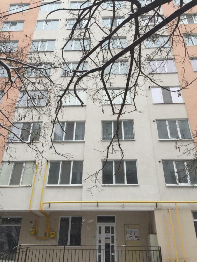 Center Apartment On Albisoara Street تشيسيناو المظهر الخارجي الصورة