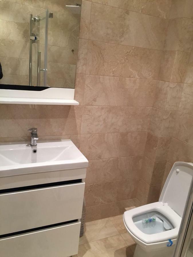 Center Apartment On Albisoara Street تشيسيناو المظهر الخارجي الصورة