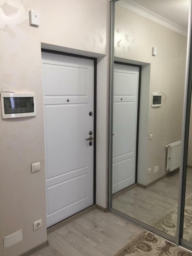 Center Apartment On Albisoara Street تشيسيناو المظهر الخارجي الصورة