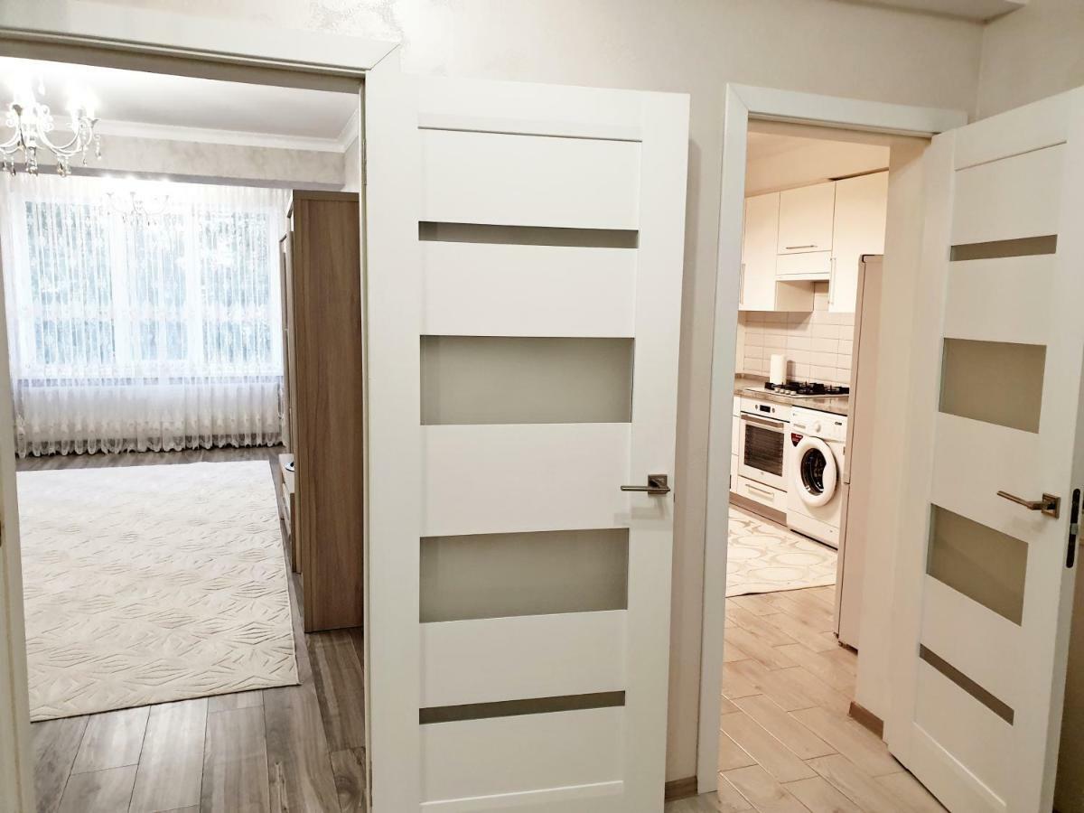 Center Apartment On Albisoara Street تشيسيناو المظهر الخارجي الصورة