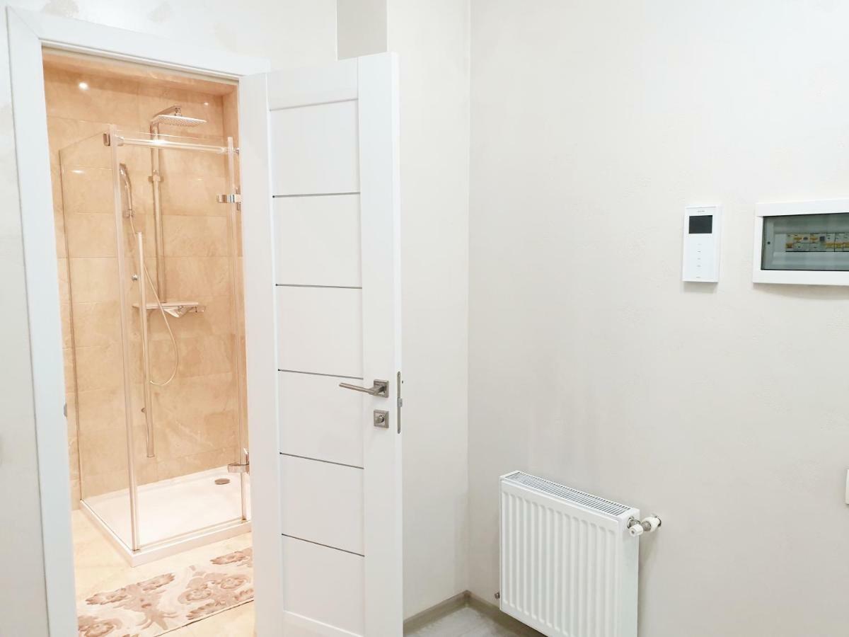 Center Apartment On Albisoara Street تشيسيناو المظهر الخارجي الصورة