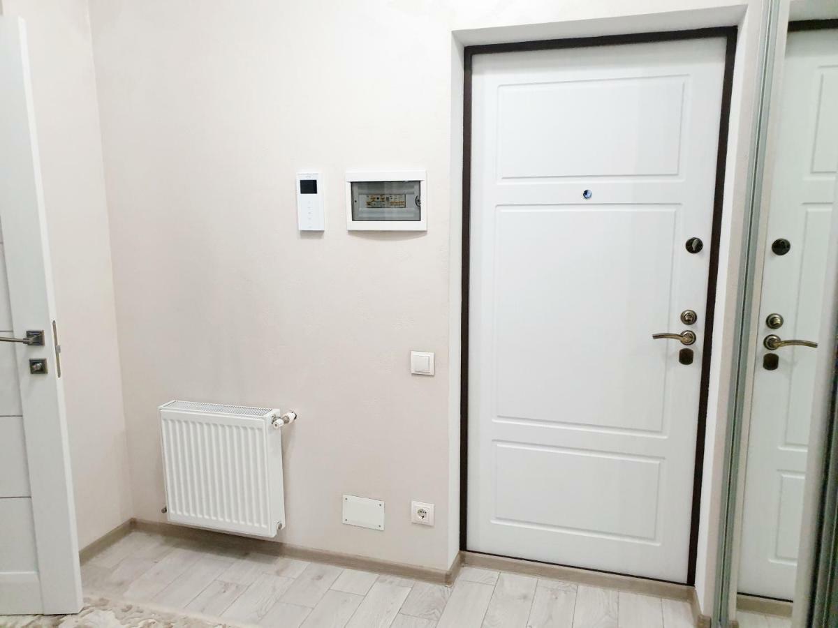 Center Apartment On Albisoara Street تشيسيناو المظهر الخارجي الصورة