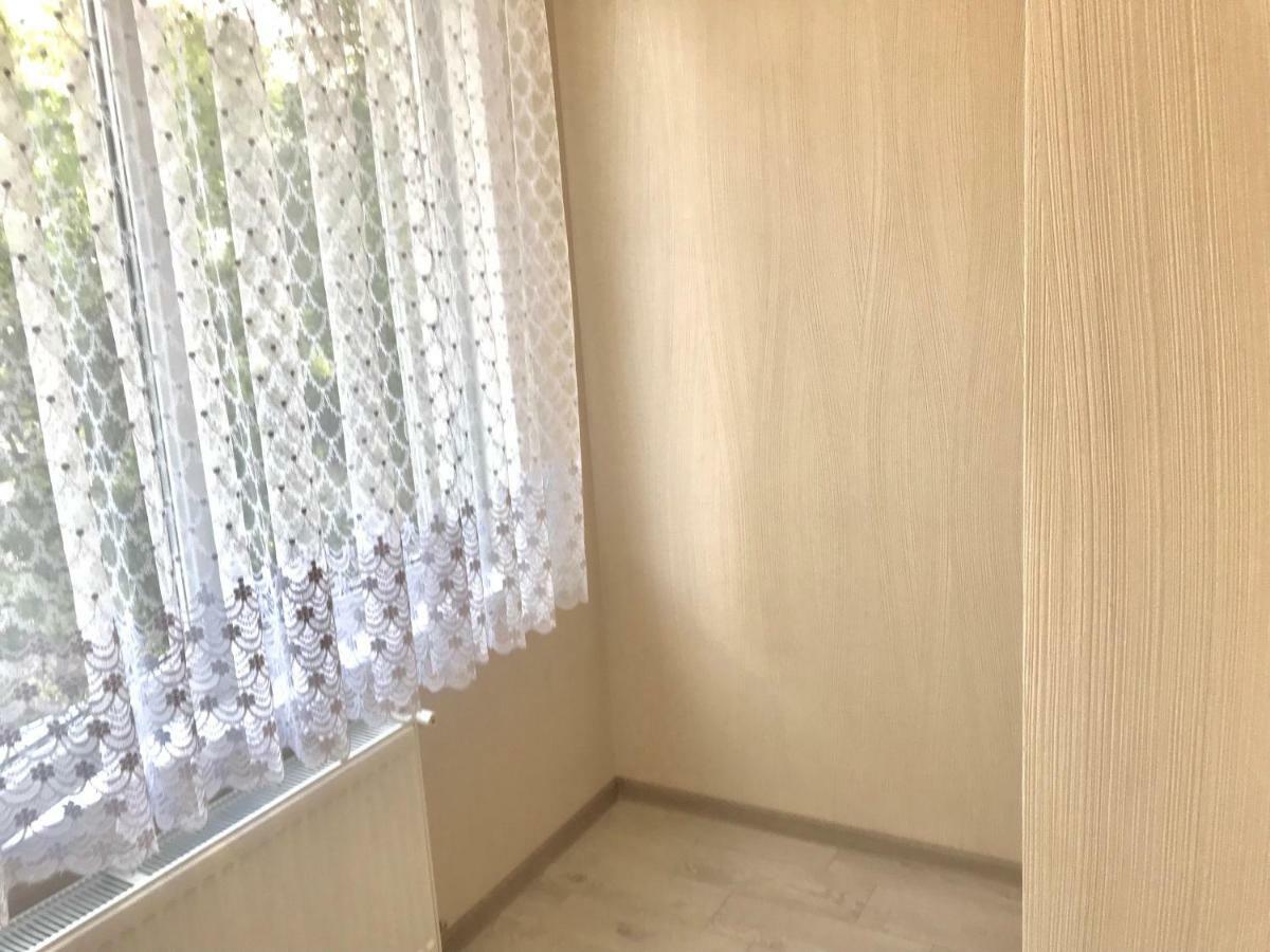 Center Apartment On Albisoara Street تشيسيناو المظهر الخارجي الصورة